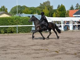 DSC_9215_web